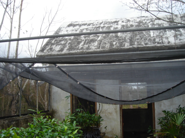 dsc00585.jpg